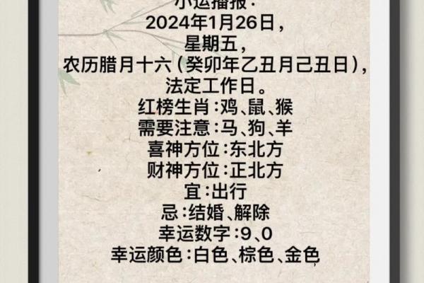 女属猴五月十二，命理解析与人生运势
