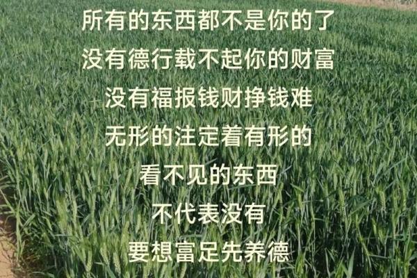 命里有时终须有，命里无时莫强求的智慧