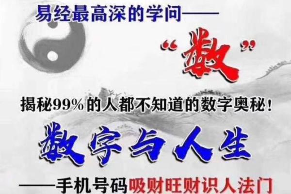 命理数字的奥秘：探索数字背后的深刻意义与人生启示