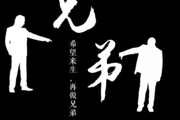 命里面保养兄弟：友谊与支持的重要性