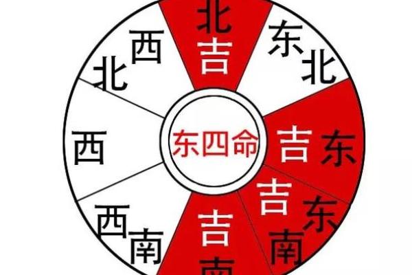 命理与延年：探讨命褂组成与生命延续的神秘关系