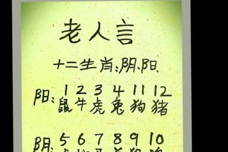 探讨老丈人在八字命理中的属相与命运解析