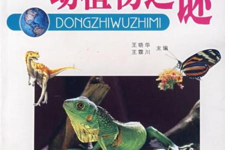 探秘神童命：命理学中的天才与潜力之谜