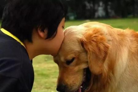 奇迹之犬：一只狗改变了30多条生命的故事