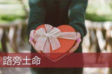 路旁土命详解:在命理中,土的力量如何影响人生走向?