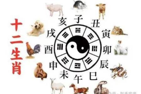 如何选择木命人与适合的命理搭档，助力事业腾飞
