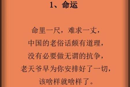 命金多水多的深层含义与人生启示