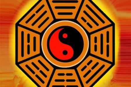 探秘命理：为何“木命”之称在八字中独具魅力