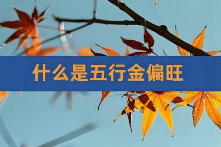 探索木命与金命的完美结合:适合的生育与生活选择