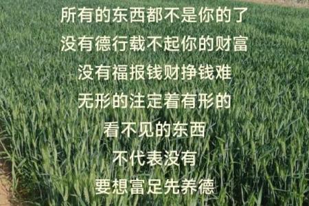 命里有时终须有,命里无时莫强求的智慧