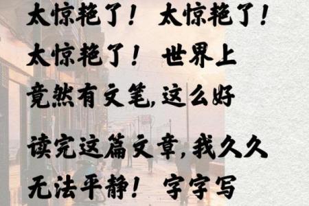 命里不俗：揭示日常生活中的独特意义与价值