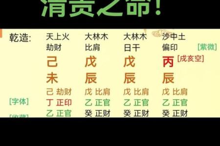揭秘木命之人的忌神颜色,助你找到好运之道!