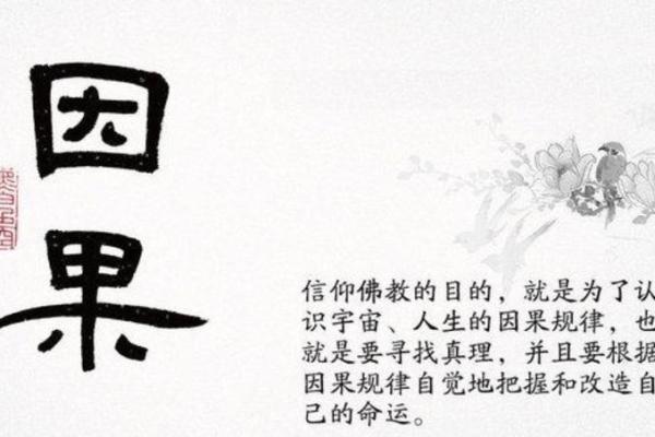 女命日柱已卯，探讨其命运与人生的启示