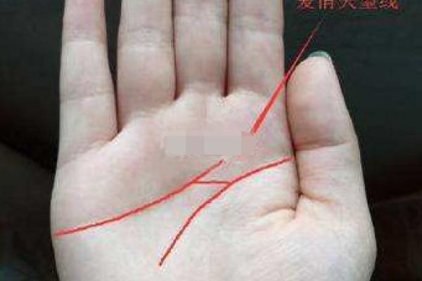 女命带孤苦，探索命理背后的深意与启示