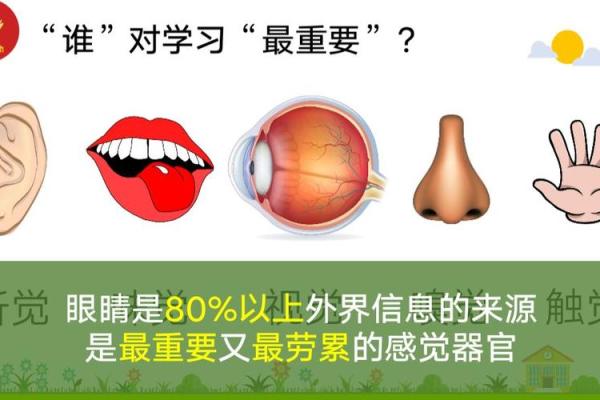 探索坤命西四命的奥秘：生活中的智慧与蜕变