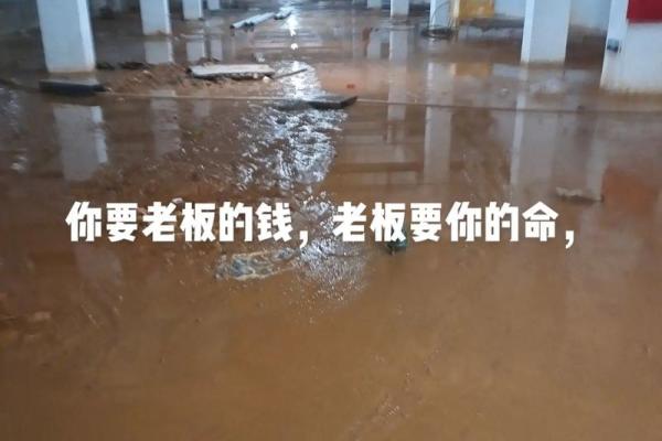 没有钱还要什么命：生活中的真实思考与选择