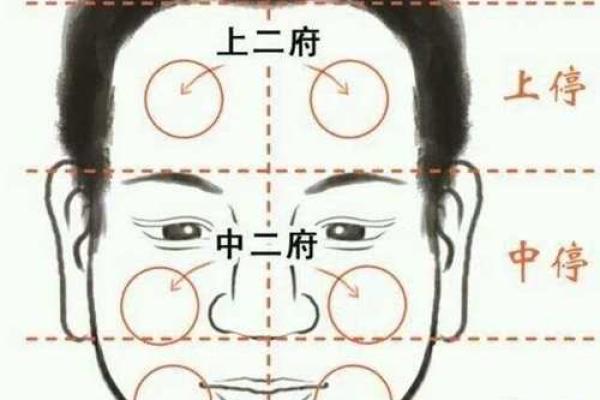 探索面相学：额头的秘密与命运的深层联系