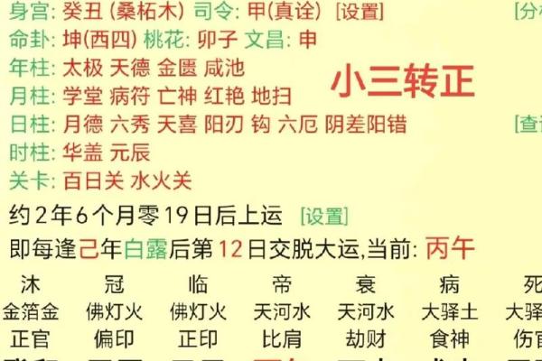 本命年如何用炉中火壬水命的能量，助你化解困境，迎接幸运！