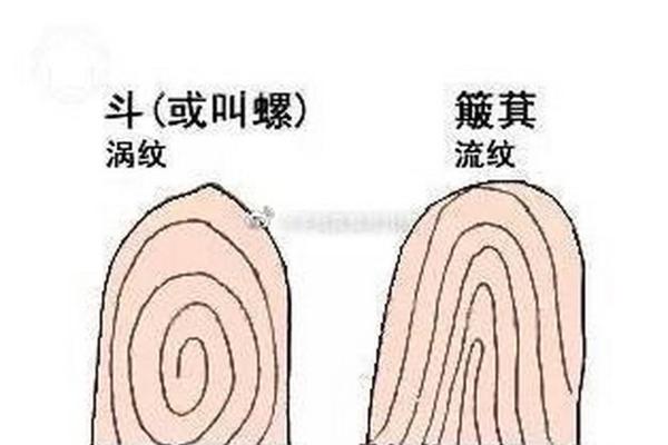 女生十个螺纹是什么命？揭示命运背后的秘密！