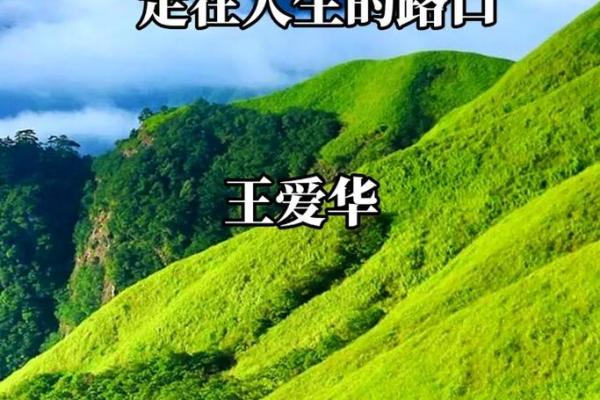 命里有权贵相交，如何把握人生机遇与命运的交织？