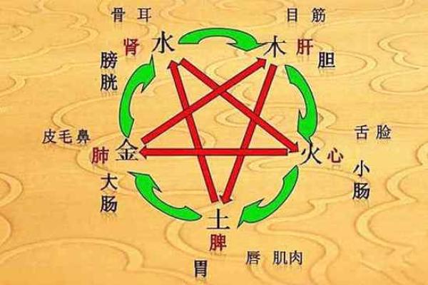 探秘2007年出生的孩子：他们的五行属性与命运解析