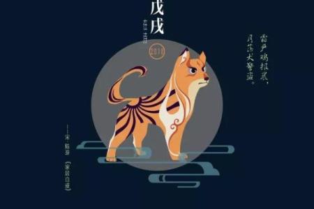 女命与属相合排：哪些生肖需要避开？