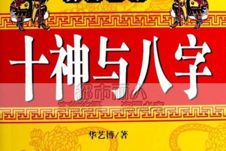 开美发店五行属什么命,八字中的商机与风水启示