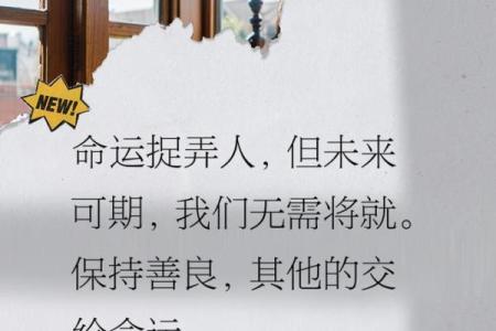 命里看不到老公,究竟是命运捉弄还是人生选择?