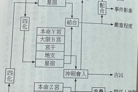 女命八字解读：智慧与命运的深层解析