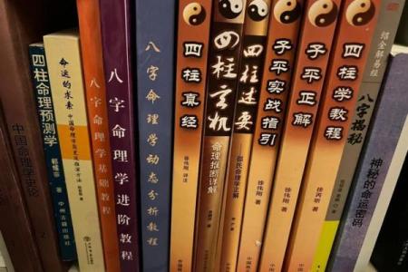 如何通过阅读来理解八字命理的奥秘，开启命运之门！