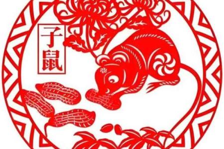2008年属鼠的命运：揭秘“戊子年”的人生密码与发展之路