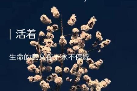 鹏像是鱼骨的命运与智慧：探索生命的深层意义
