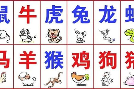 年属鸡的是什么命:解析1981年、1993年、2005年鸡命人的命理特点与性格