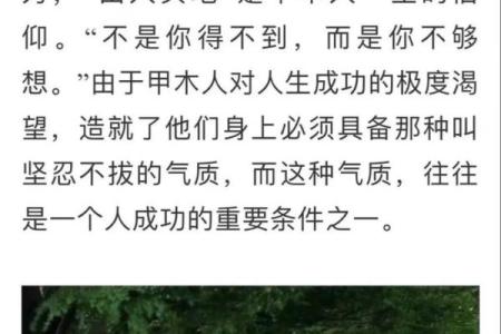 男命带垣城:揭示五行命理中的深刻智慧与人生方向
