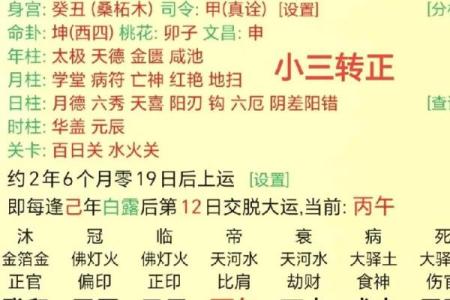 本命年如何用炉中火壬水命的能量，助你化解困境，迎接幸运！