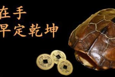 命理预测师:洞察未来的智慧与艺术之融合