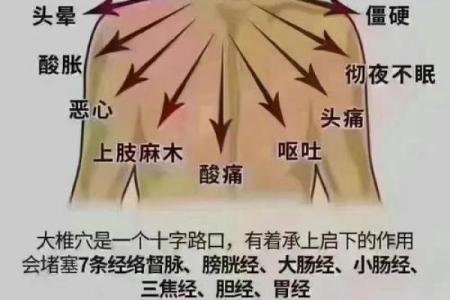 探寻命浊的本质：从楞严经看生命的深层意义