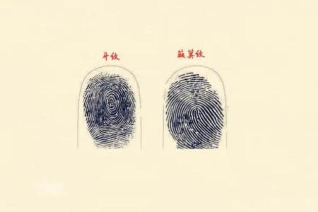男人手上六个螺的命运解析:了解你的生活与性格特征!