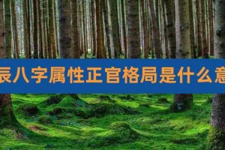 正官命格解析：探索命运中的权威和责任