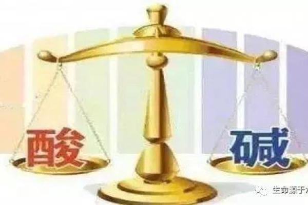 探索路旁土命：喜水属性与生活的和谐之道