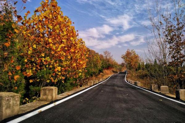 探索路旁土命：喜水属性与生活的和谐之道