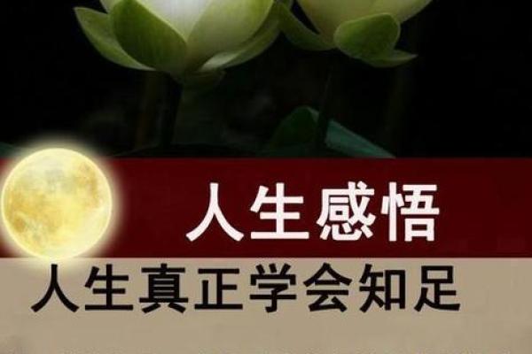 探索流年盘年命：解读人生旅途中的隐秘信号