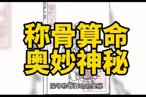探索满命神与传统命理的不同之处，揭示命运奥秘！