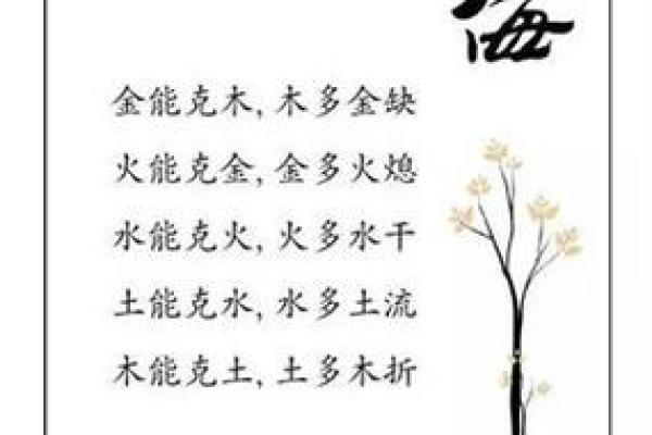 女人八字中的双狗命，探索其性格与命运之道