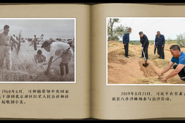 李自成的命运之路：从农民到领袖的传奇人生