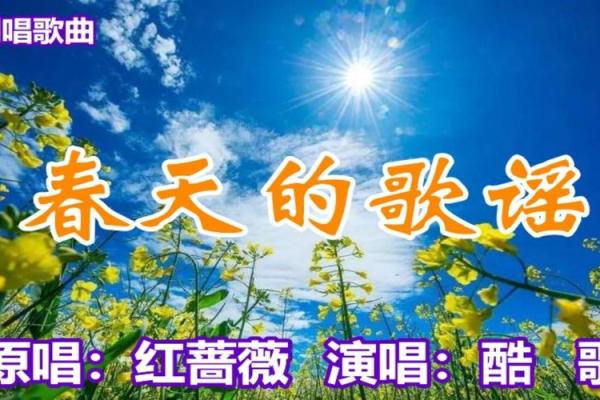 生命更可爱，因歌相伴：音乐带来的温暖与力量