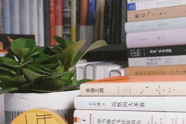 女士命理分析：最适合的命理搭配与人生幸福之路