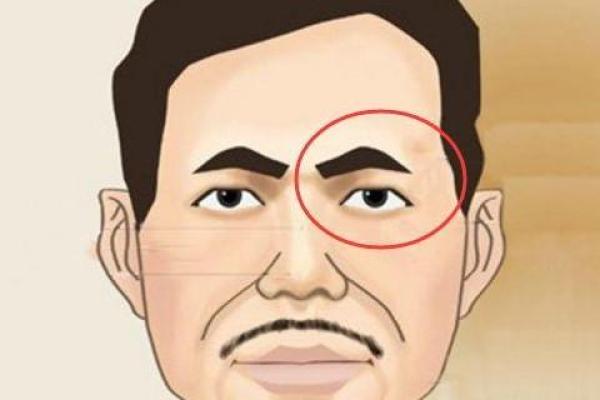 男生没眉毛，暗示什么命运与个性？