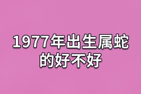 探究属蛇男孩的五行命理与人生运势