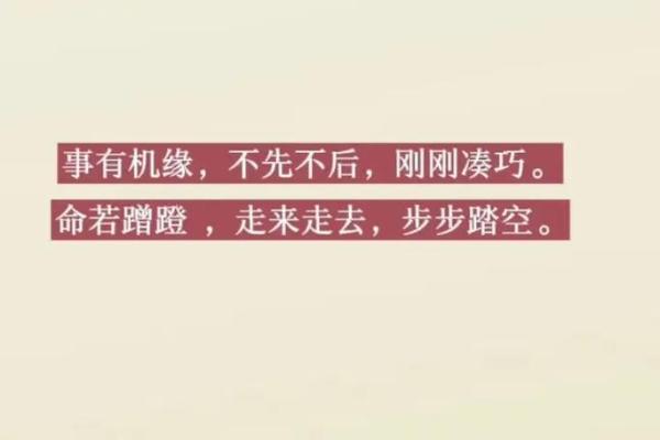 命乐正命：探寻命运与生活幸福的和谐之道